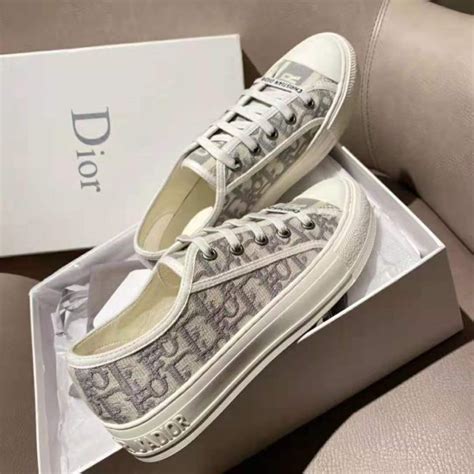 dior walk in shoes